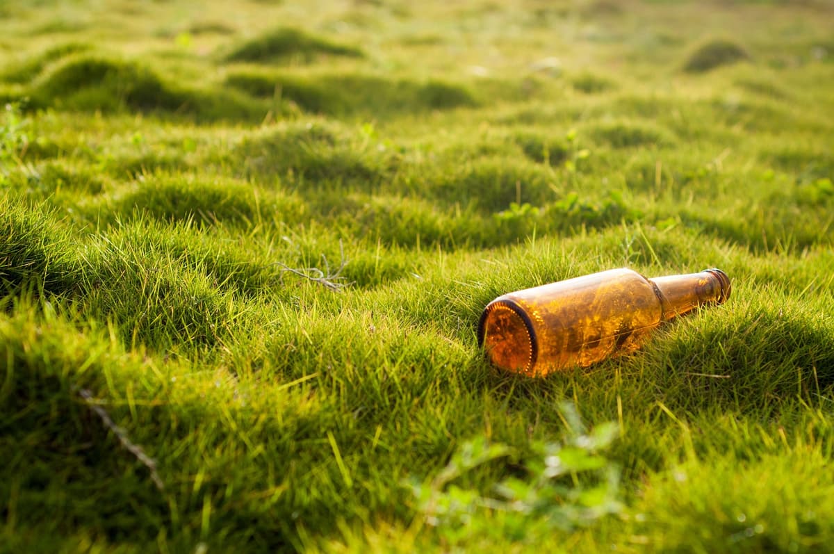 Bild von Trash Mob im Neuen Garten