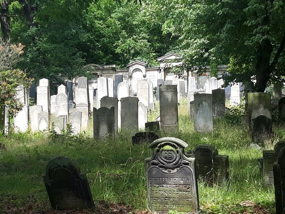 Bild von Subbotnik auf dem Jüdischen Friedhof
