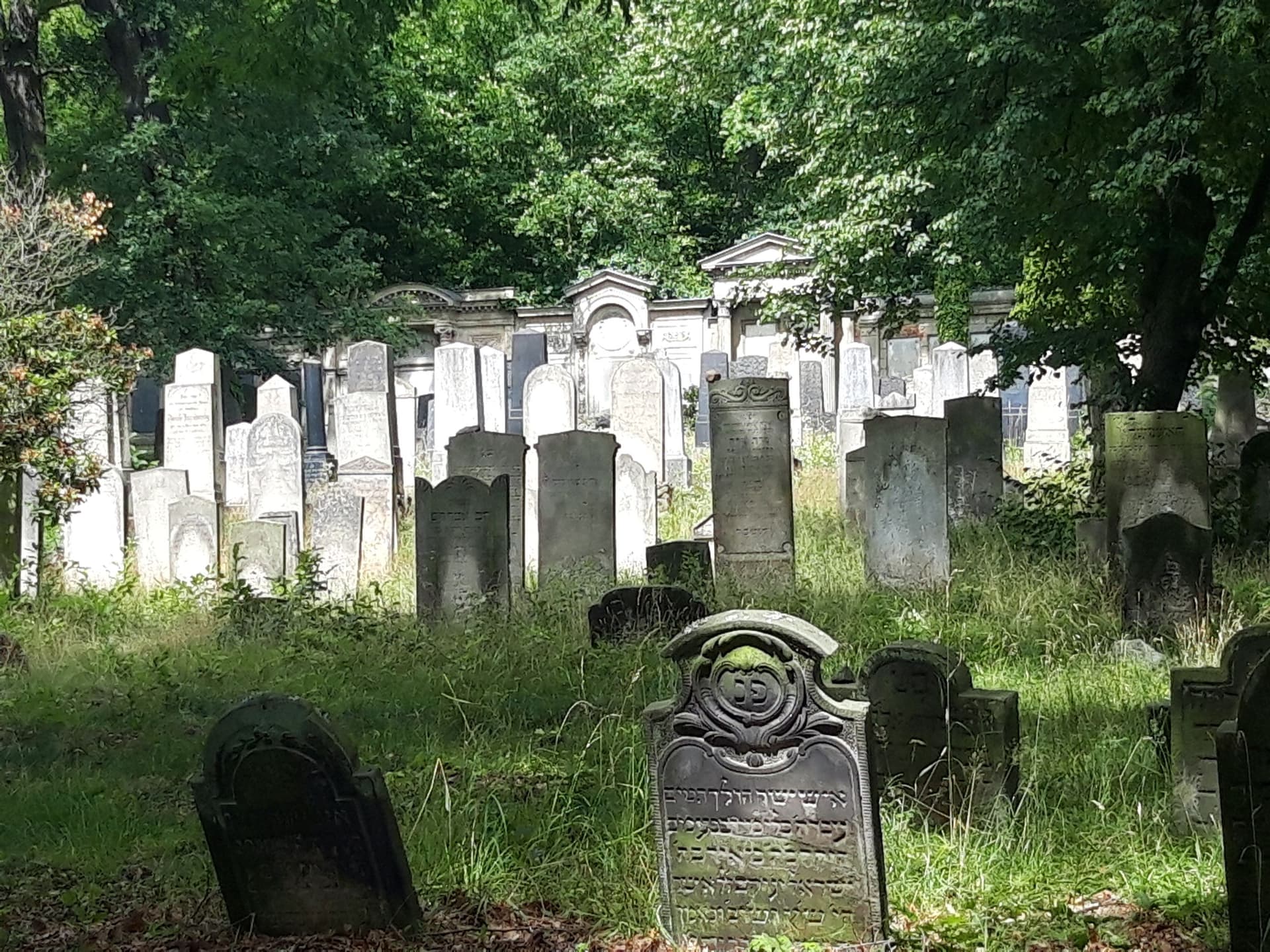 Subbotnik auf dem Jüdischen Friedhof