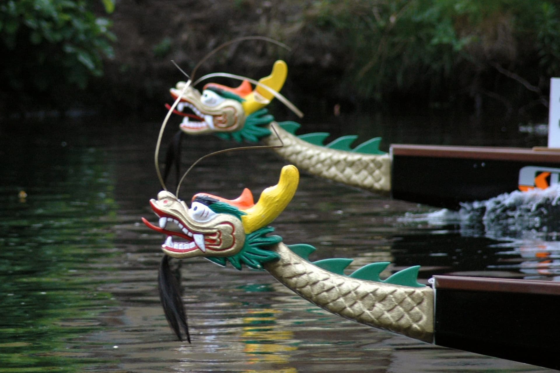 Bild von Drachenboot-Regatta