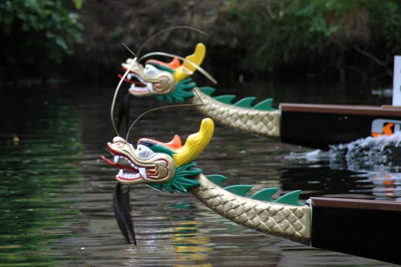 Bild von Drachenboot-Regatta
